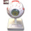 human-eye-anatomical-model-3x-enlarged-6-parts-with-numbered-structures