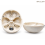 life-size-model-of-human-skull-premium