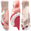 human-nasal-cavity-and-sinus-model-cutaway-anatomy