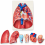 Human-Larynx-Heart-and-Lung-Model-Life-Size-7-Parts