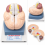 human-brain-model-life-size-2-parts-hand-painted-with-numbered-structures