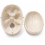human-skull-model-life-size-with-movable-jaw