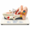 human-ear-anatomy-model-5x-enlarged-with-stand